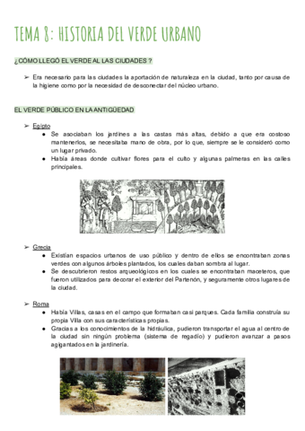 TEMA-8-EL-VERDE-URBANO.pdf