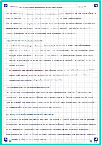 Tema-3-La-organizacion-pluricelular-de-los-SSVV.pdf