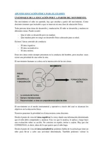 APUNTES-.pdf