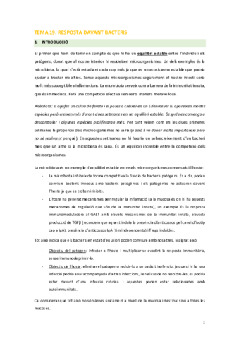 IM-Tema-19.pdf