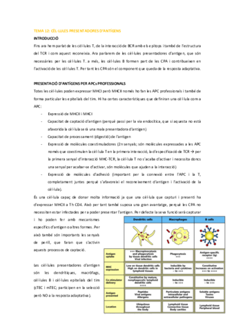 IM-Tema-12.pdf