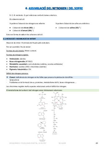 BIOQUIMICA-I-FISIOLOGIA-VEGETAL-2A-PART.pdf