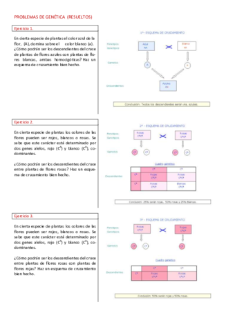 problemasgeneticaconsoluciones1578993048759.pdf