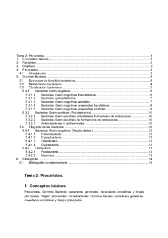 Tema-2.pdf