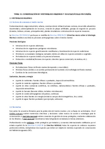 Tema-11-y-12.pdf