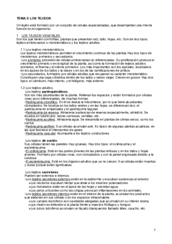 Apuntes-tema3.pdf