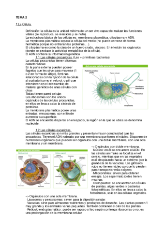 Apuntes-bio-tema2.pdf
