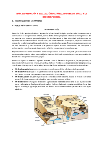 Tema-5.pdf