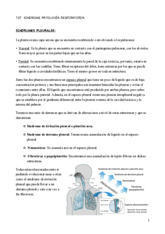 tema-27-fisio.pdf