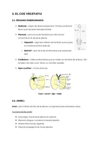 botanica-biologia-vegetal.pdf