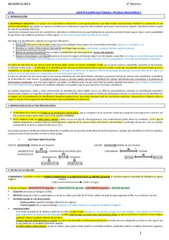 8-IDENTIFICACION-BACTERIANA.pdf