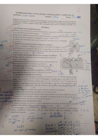 Enunciados-globan-2o-Evaluacion.pdf