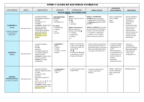 Clasificacion-bacteriana.pdf