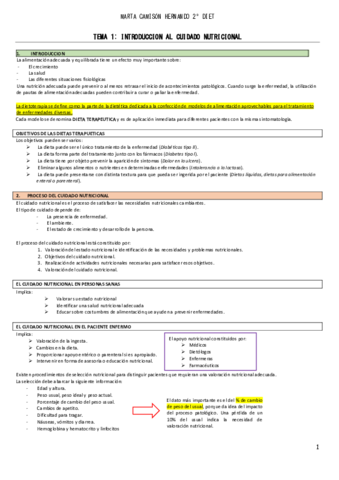 TEMA-1-Resumen.pdf