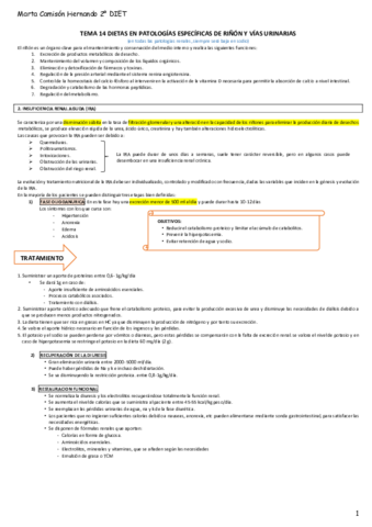 Resumen-Tema-14.pdf