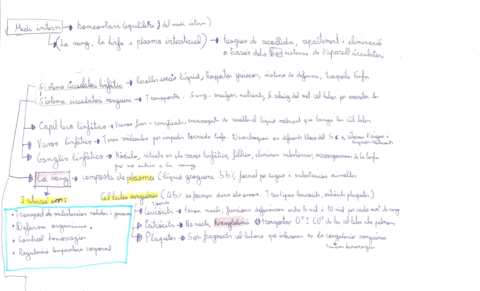 T-4-sistema-sanguini-i-excretor.pdf