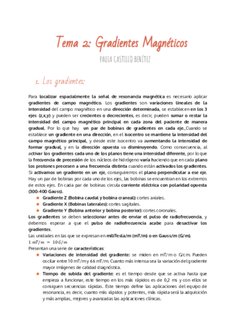 TEMA-2-GRADIENTES-MAGNETICOS.pdf