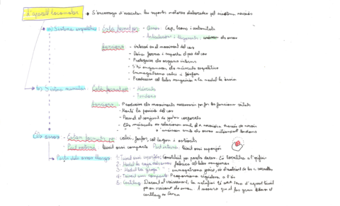 Aparell-Locomotor.pdf