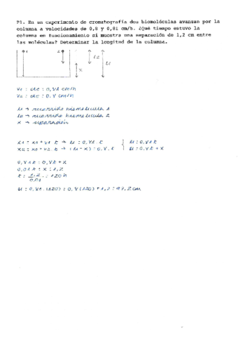 Ejercicios-Resueltos.pdf