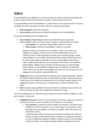 TEMA-6.pdf