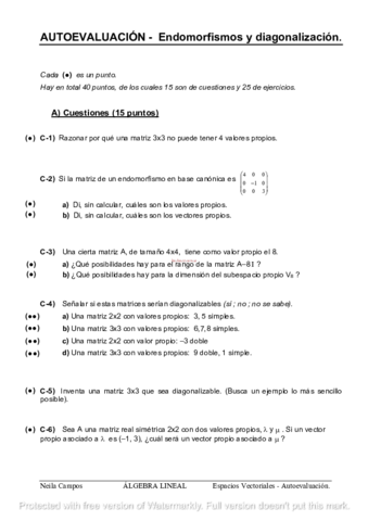 diagonalizacionautoeval.pdf