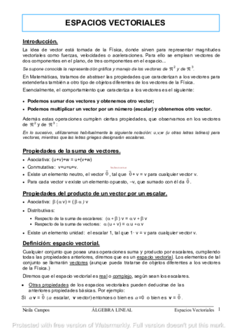 espaciosvectoriales1.pdf