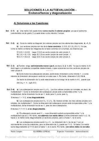 diagonalizacionsoluciones.pdf