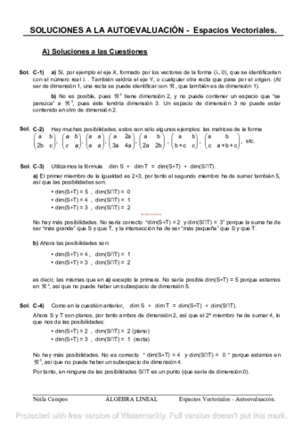 espaciosvectorialessoluciones.pdf