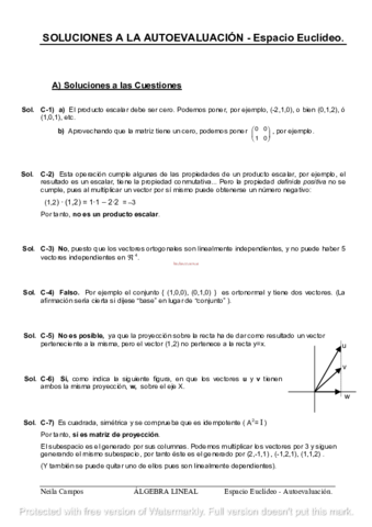 espacioeuclideosoluciones.pdf