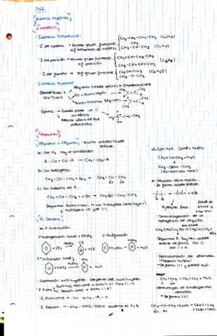 REACCIONES-ORGANICA.pdf