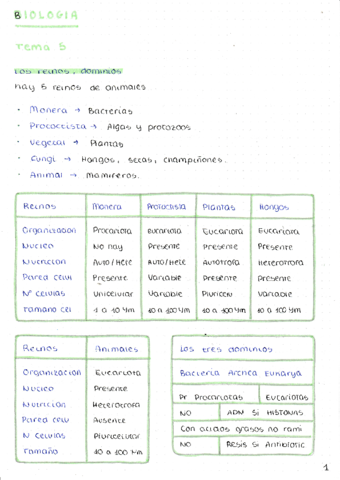 REINOS-PLANTAS-ANIMALES.pdf
