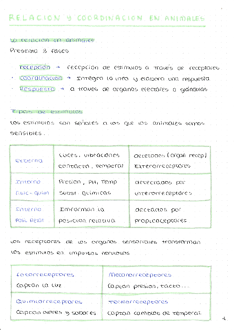 RELACION-Y-COORDINACION-EN-ANIMALES.pdf