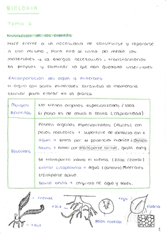 NUTRICION-EN-PLANTAS.pdf
