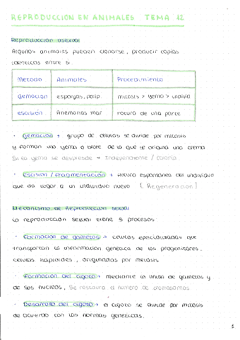 REPRODUCCION-EN-ANIMALES-.pdf
