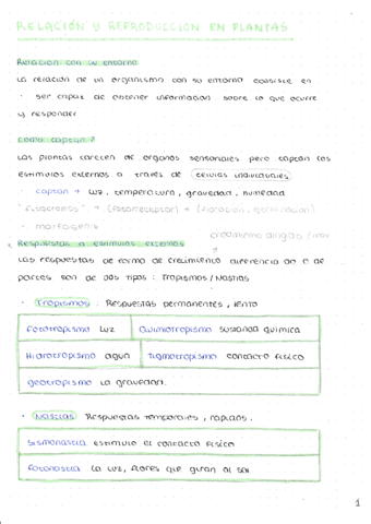 RELACION-Y-REPRODUCCION-EN-PLANTAS.pdf