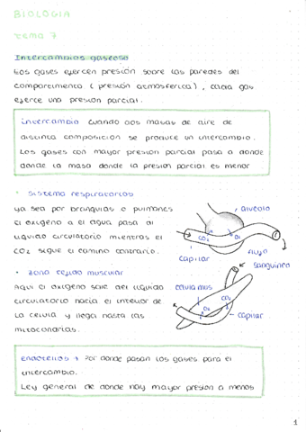 RESPIRACION-Y-DIGESTION-EN-ANIMALES.pdf