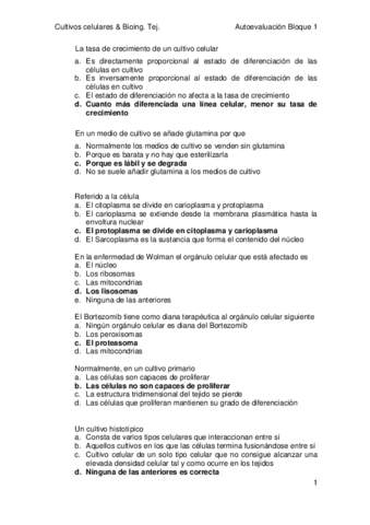 Autoevaluacion-BL1-corregida-2015.pdf