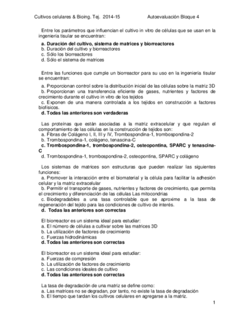 Autoevaluacion-BL4-corregida-2015.pdf