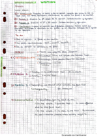 ingles-writing-opinion-essay.pdf