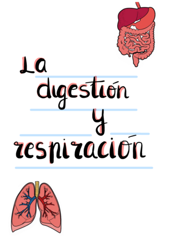 Digestion-y-respiracion-animales-Tema-8.pdf