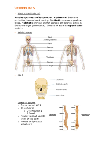 T.5 - Vocabulary.pdf