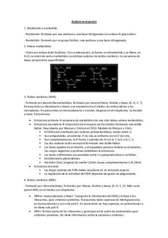 ACIDOS-NUCLEICOS.pdf