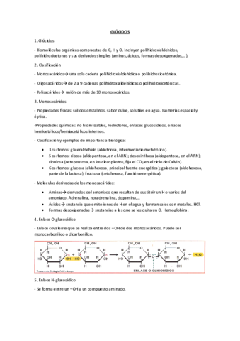 GLUCIDOS.pdf