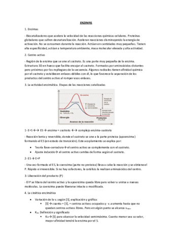 ENZIMAS.pdf