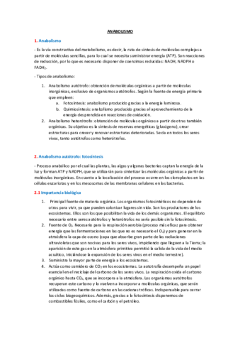 ANABOLISMO.pdf