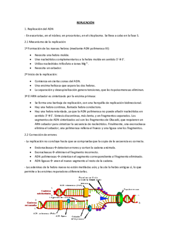 REPLICACION.pdf