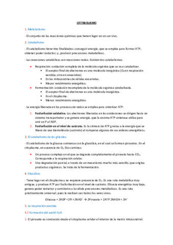 CATABOLISMO.pdf