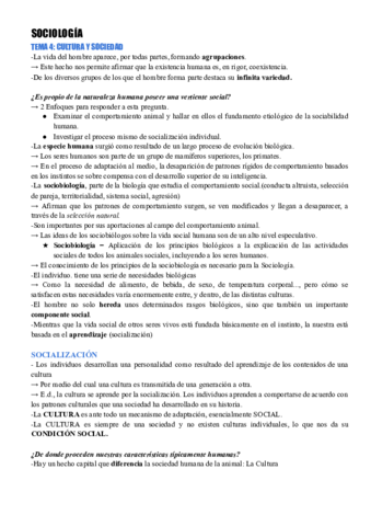 TEMA-3-CULTURA-Y-SOCIEDAD-Documentos-de-Google.pdf