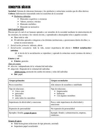 CONCEPTOS-BASICOS-Y-CULTURA-Documentos-de-Google.pdf