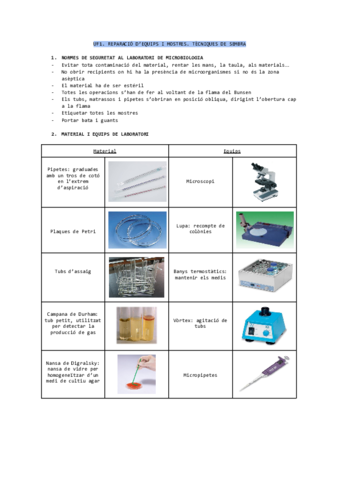 UF1-Material-.pdf